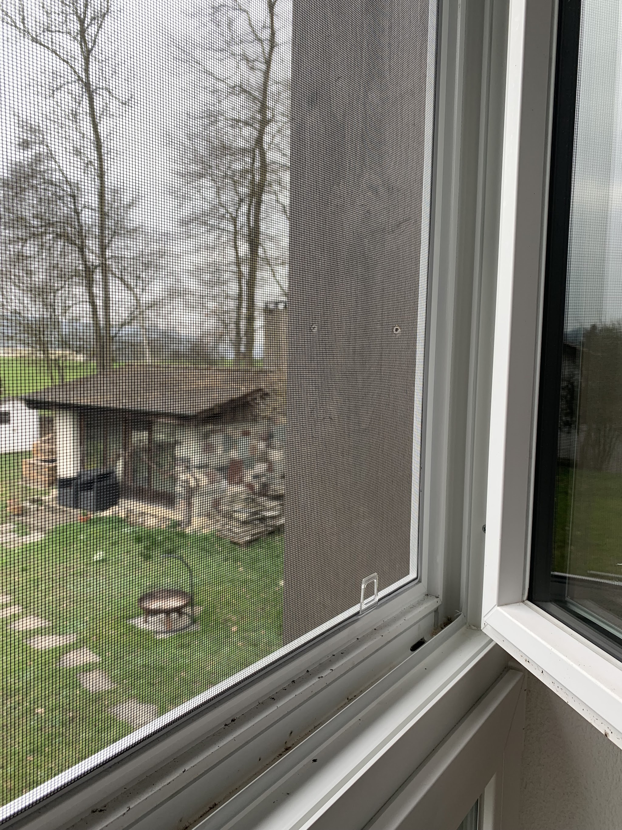 Insektenschutz am Fenster mit Gartenblick